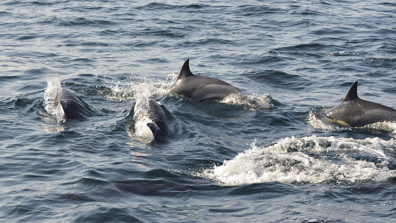 Cois Na Sionna Hotel Killimer Bagian luar foto